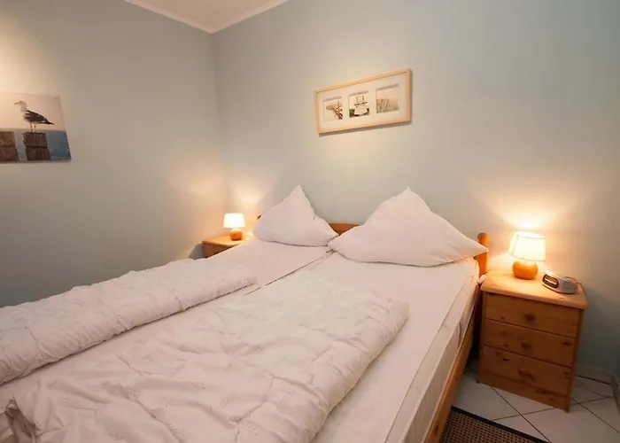 50166... * 卡罗利嫩西尔